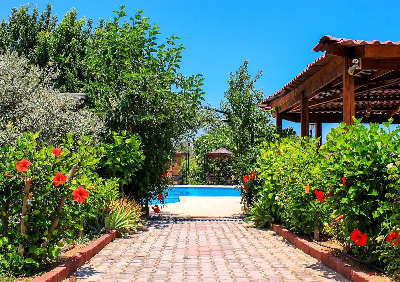 Hibiscus-lined garden path leading to the pool