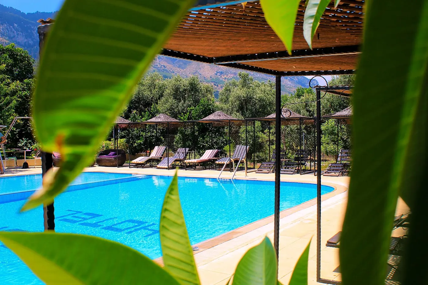 The pool and garden with the Five Finger Mountains behind